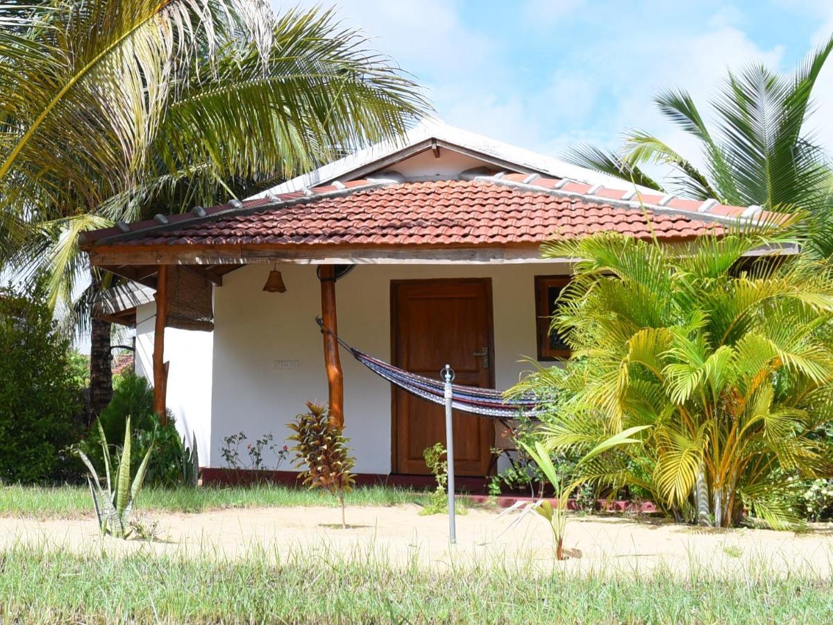 Prime Surfers Bungalow Baía de Arugam Exterior foto