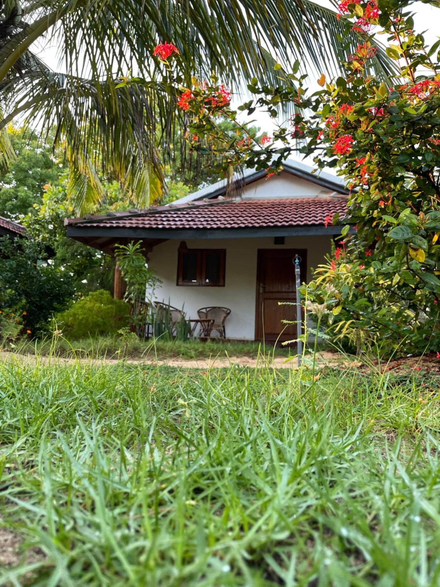 Prime Surfers Bungalow Baía de Arugam Exterior foto
